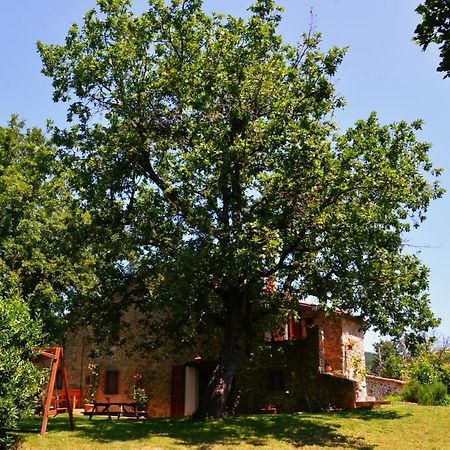 Il Venaio Bed and Breakfast Massa Marittima Eksteriør billede