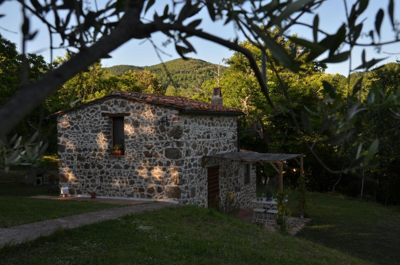 Il Venaio Bed and Breakfast Massa Marittima Eksteriør billede