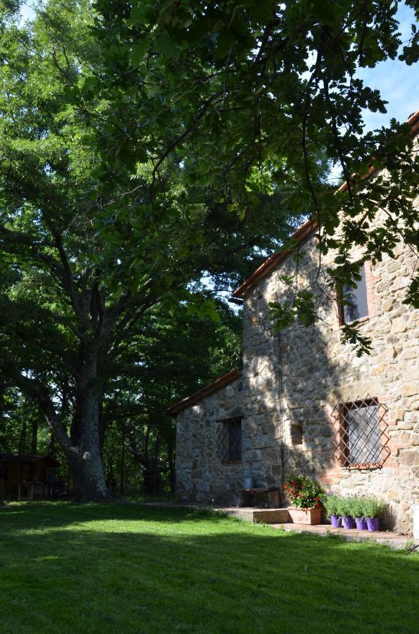 Il Venaio Bed and Breakfast Massa Marittima Eksteriør billede