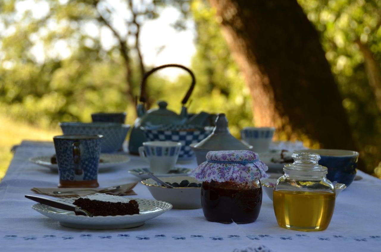 Il Venaio Bed and Breakfast Massa Marittima Eksteriør billede