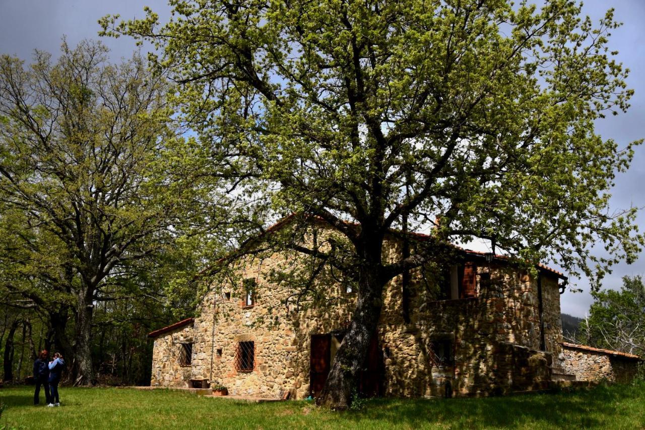 Il Venaio Bed and Breakfast Massa Marittima Eksteriør billede