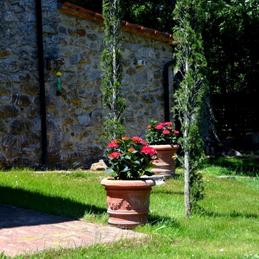 Il Venaio Bed and Breakfast Massa Marittima Eksteriør billede