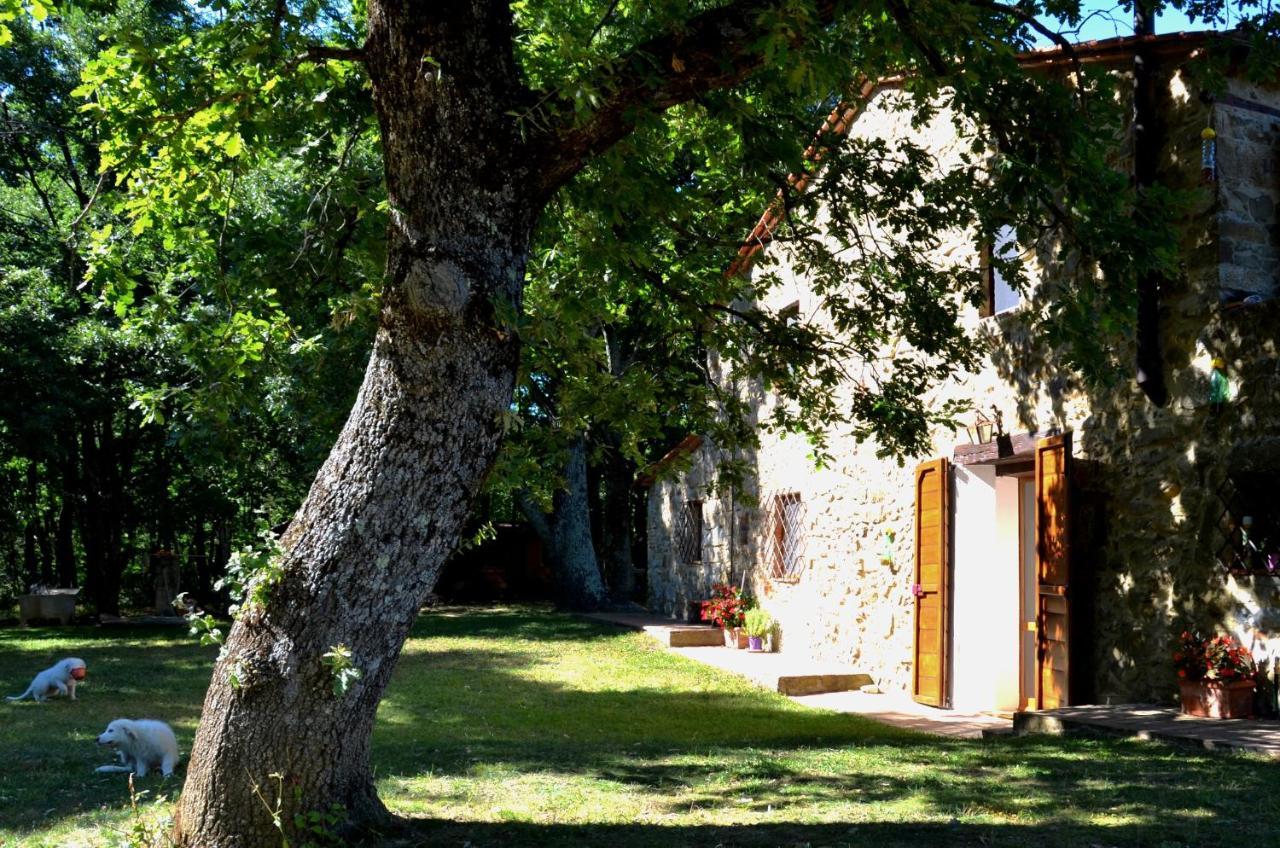 Il Venaio Bed and Breakfast Massa Marittima Eksteriør billede