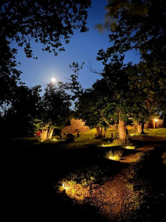 Il Venaio Bed and Breakfast Massa Marittima Eksteriør billede