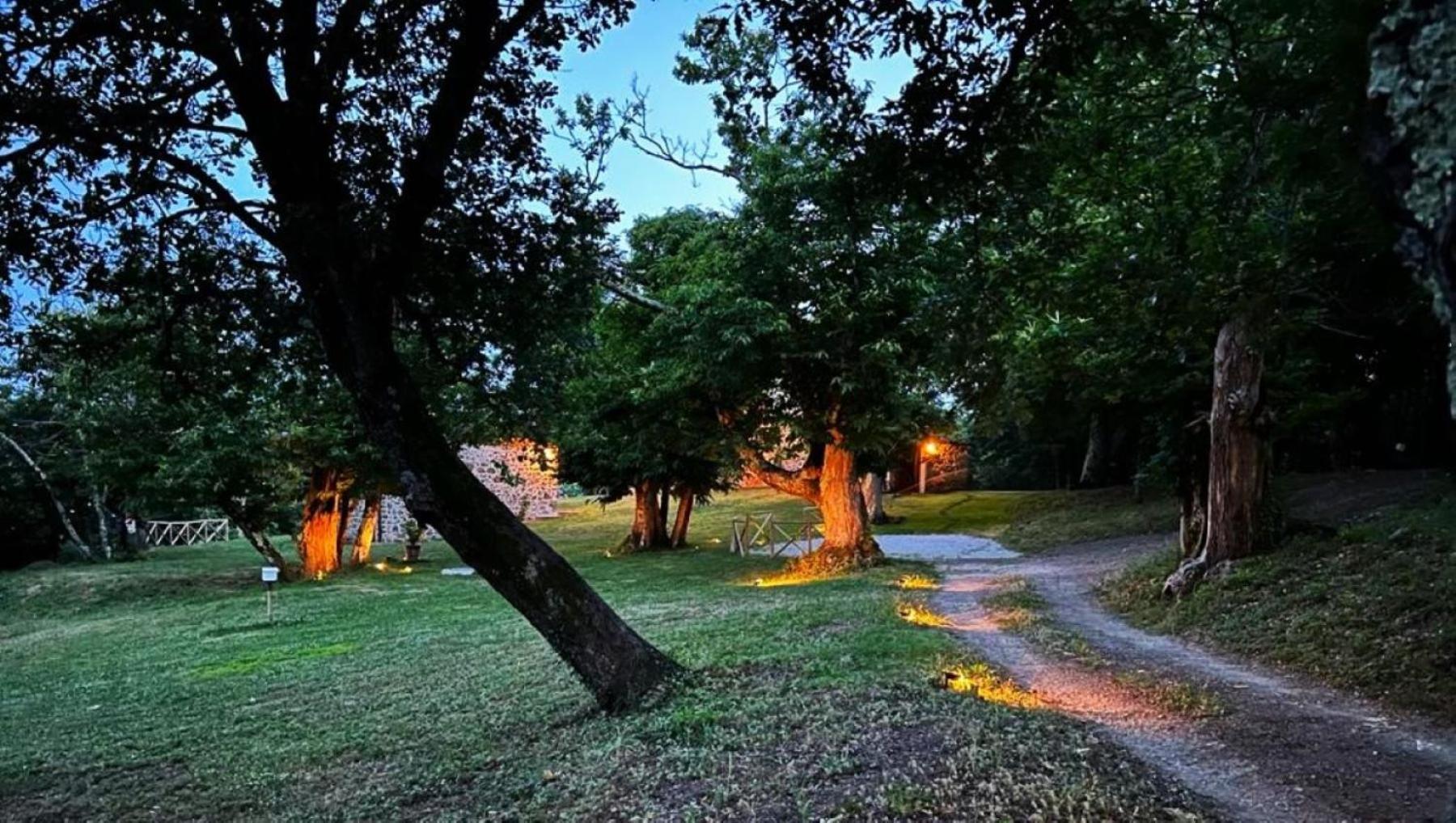 Il Venaio Bed and Breakfast Massa Marittima Eksteriør billede