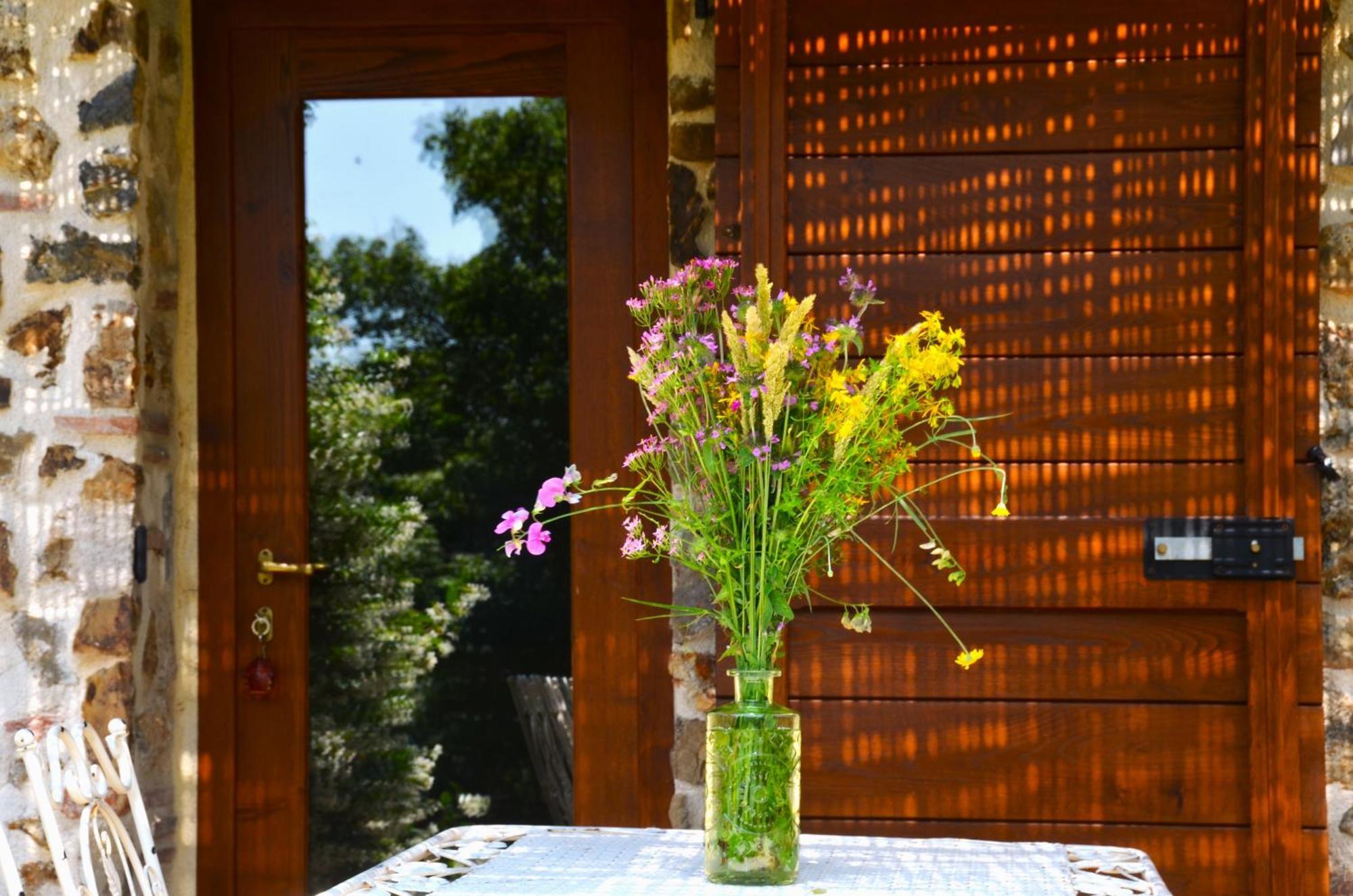 Il Venaio Bed and Breakfast Massa Marittima Eksteriør billede